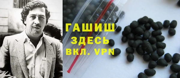 гашик Дмитров