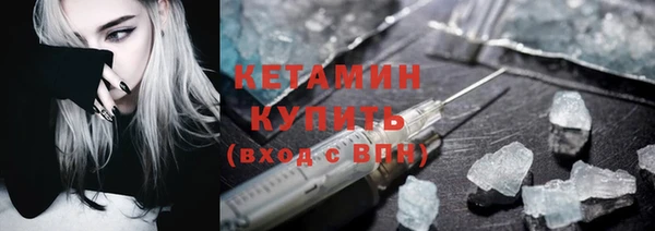 гашик Дмитров