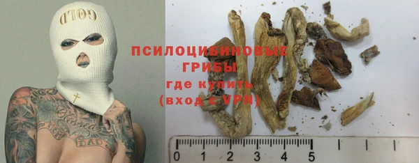 гашик Дмитров