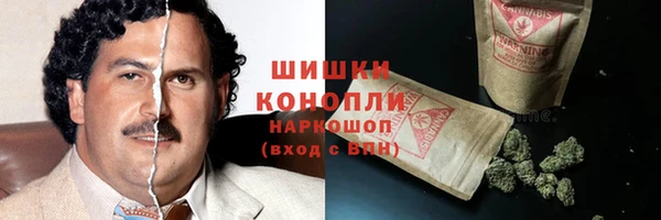 хмурый Дмитриев