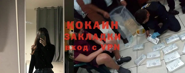 гашик Дмитров