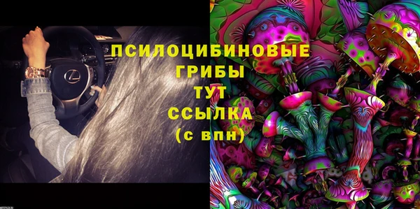 гашик Дмитров