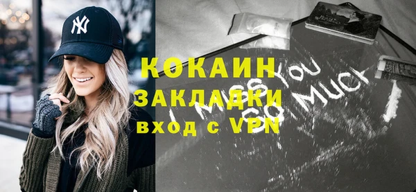 гашик Дмитров