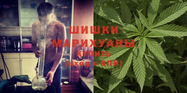 дмт Дмитровск