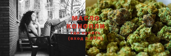 гашик Дмитров