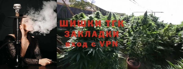 хмурый Дмитриев