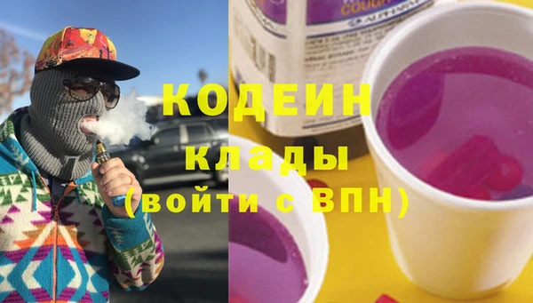 гашик Дмитров