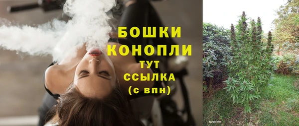 дмт Дмитровск