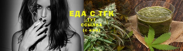 гашик Дмитров