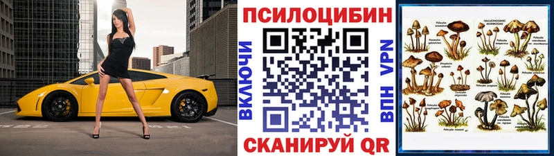 Купить где  Карабаш  Псилоцибиновые грибы GOLDEN TEACHER 
